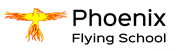 Phoenix Flying Logo